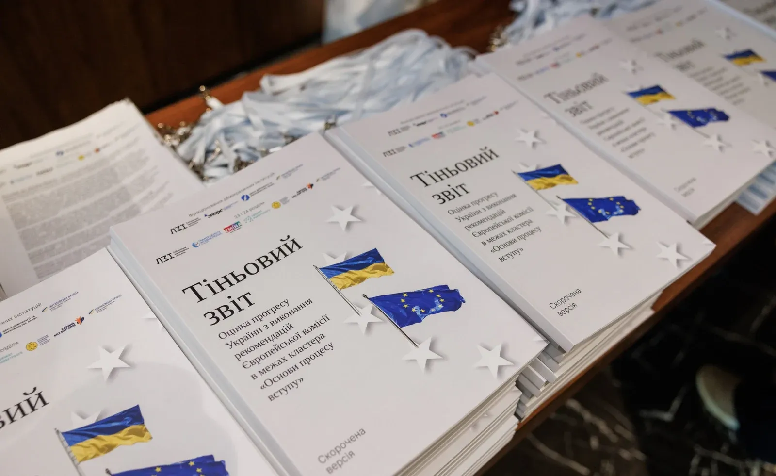 Ілюстрація до матеріалу: Представники МВС взяли участь у презентації Тіньового звіту щодо виконання рекомендацій Європейської Комісії